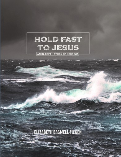 Hold Fast Cover_Finalfront